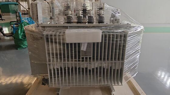 800 kVA Ölbetonungstransformator mit ONAN-Kühlung und IEC60076-Norm für den industriellen Vertrieb